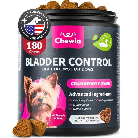 Dog UTI Treatment