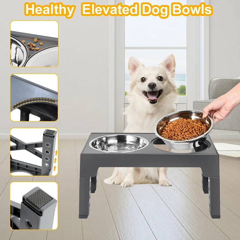 Elevated Dog Feeder