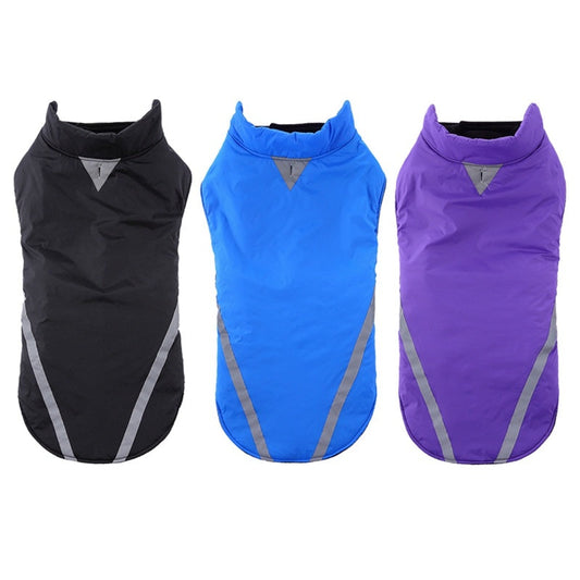 Jackets large dog