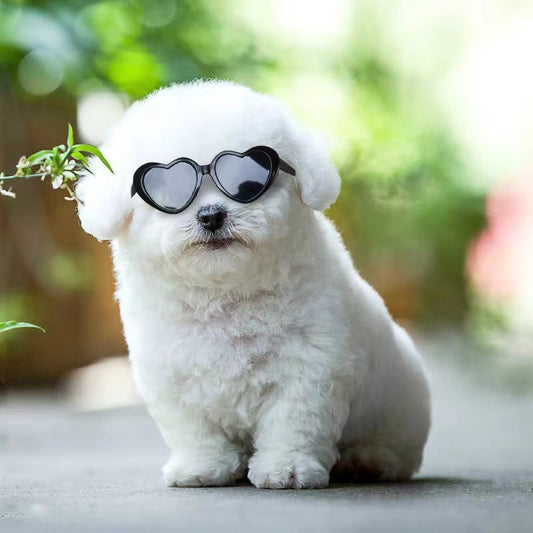 Doll Sunglasses