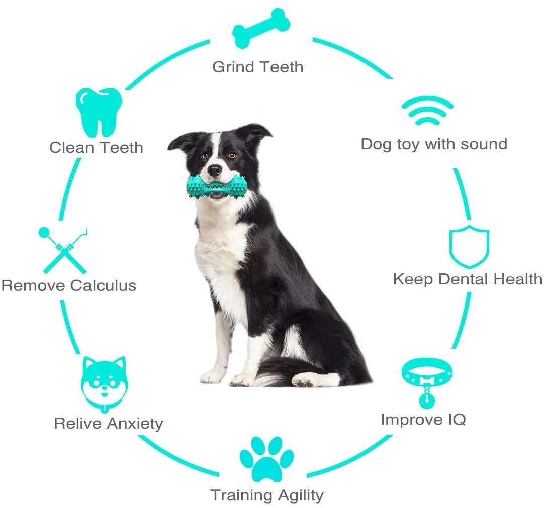 Pet Dog Cleaning