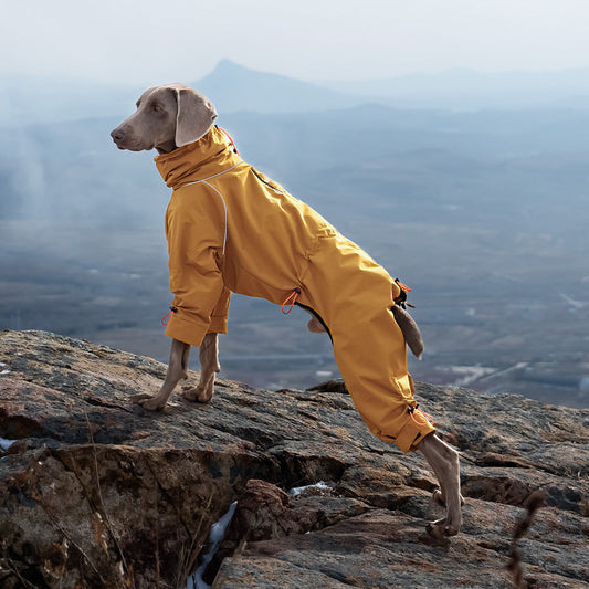Large Dog Four-leg Shell Jacket