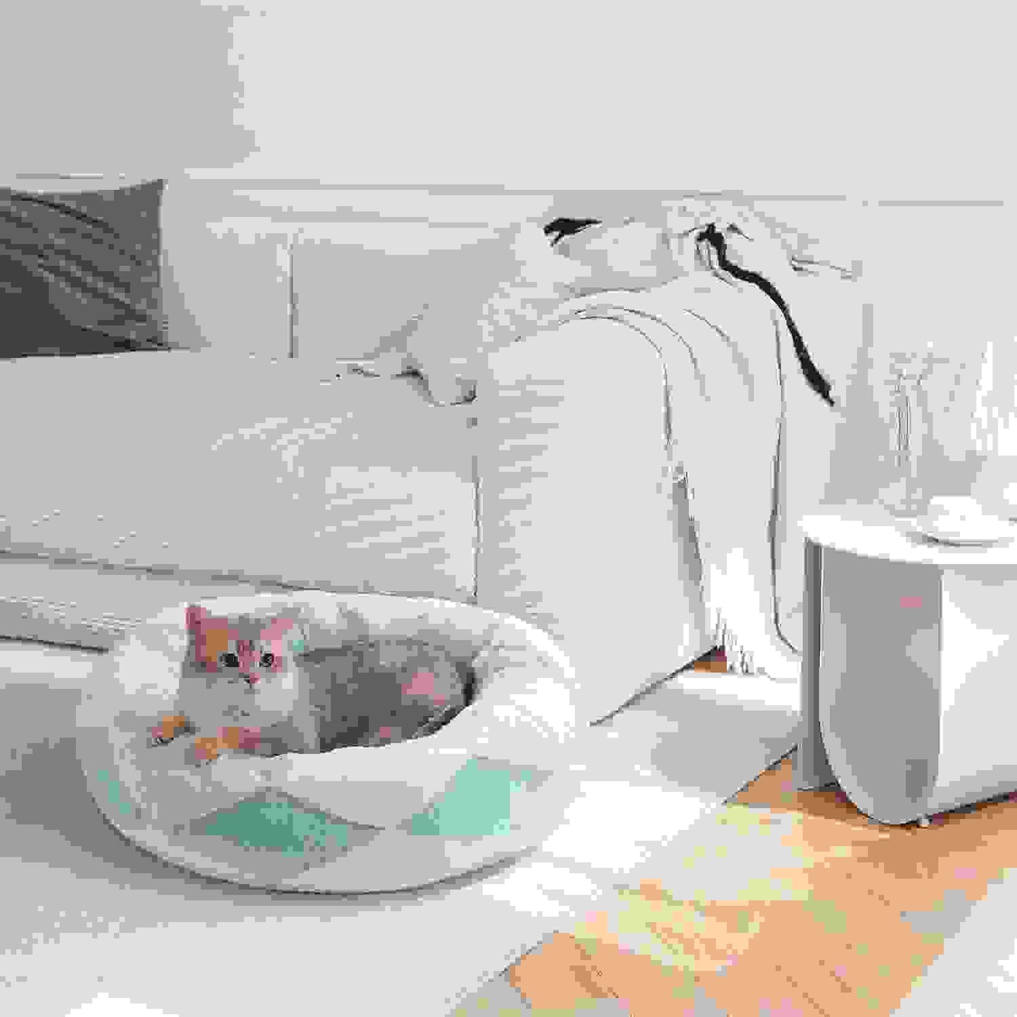 Donut Cat Bed