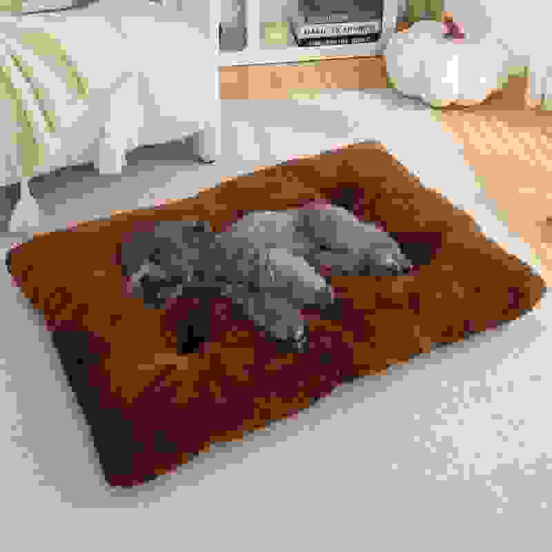 Winter Warm Pet Mat
