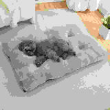 Winter Warm Pet Mat