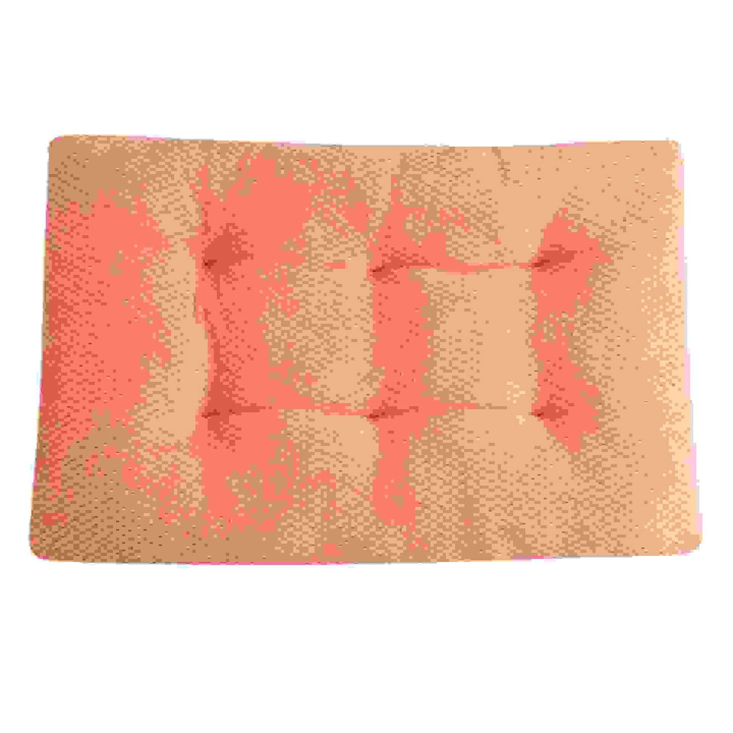 Winter Warm Pet Mat