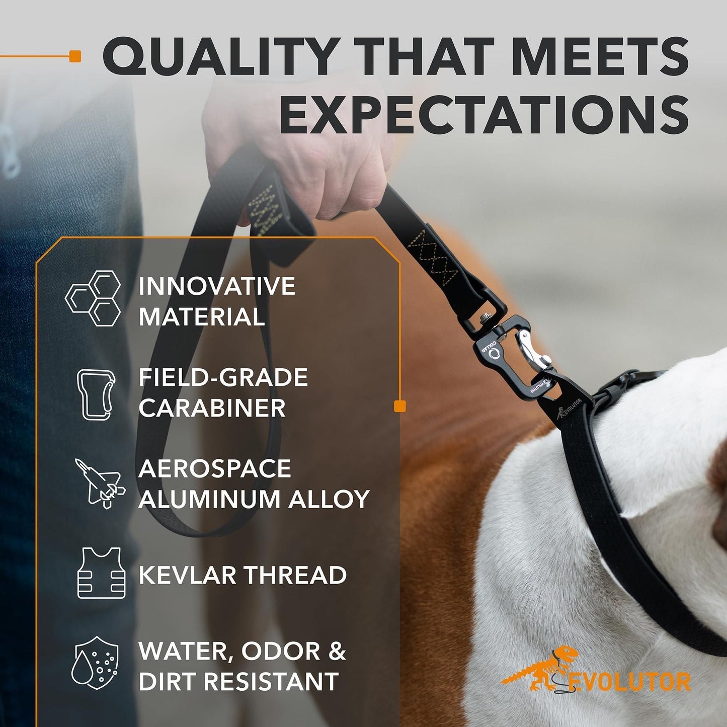 375487141Extra Heavy Duty Dog Leash