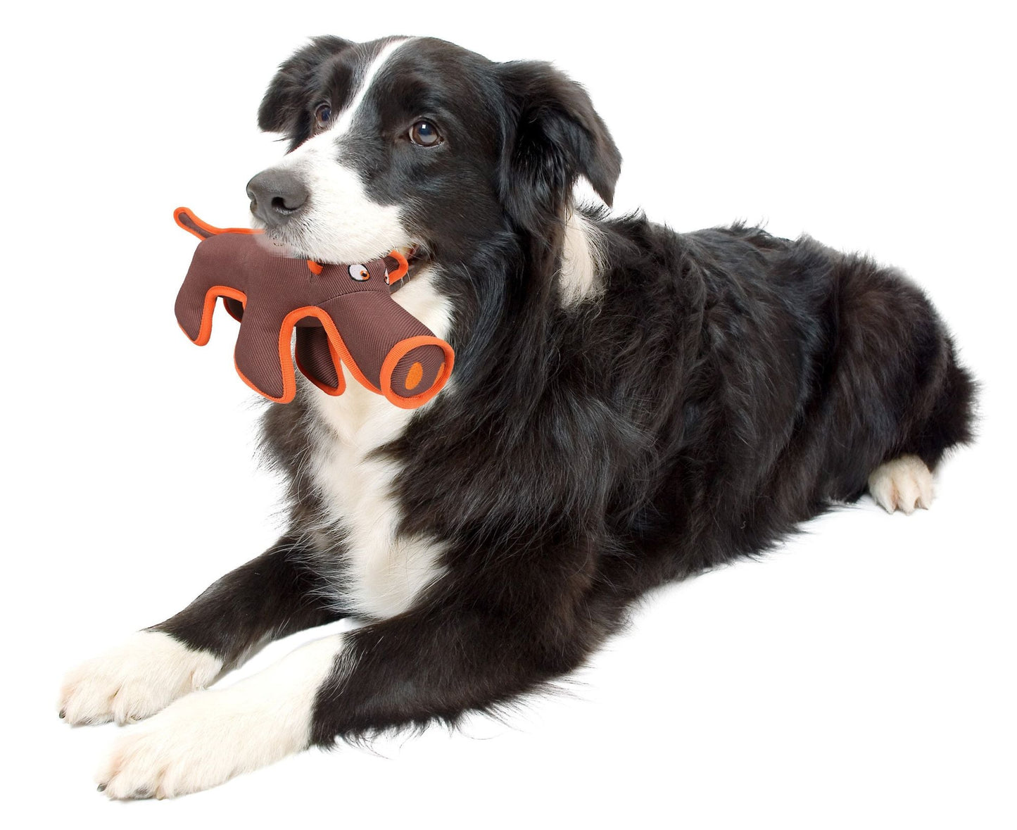 DogTeethingToy