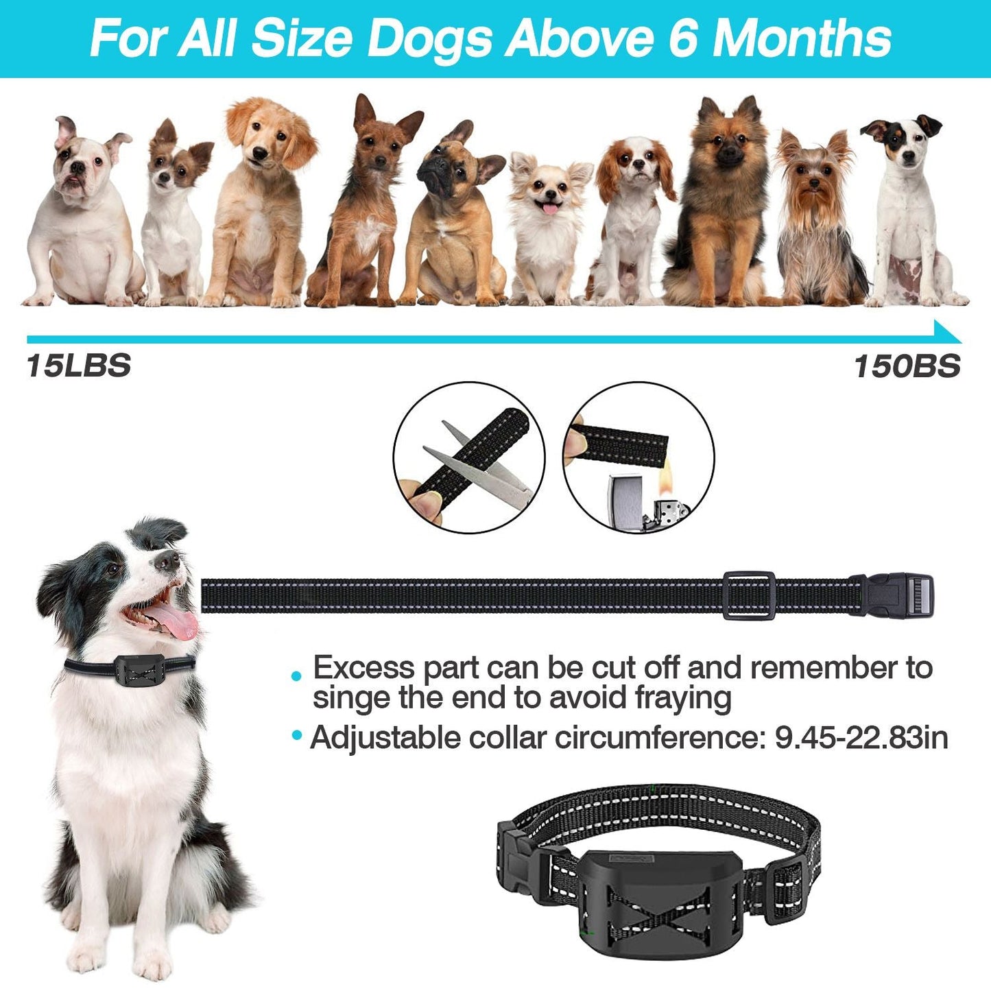 Wireless Electric Dog Fence| Wireless Dog Fence & Collar | 2-in-1 Dog Fence Trainer | Dog Training & Fence Collar |Pet Boundary & Training Collar | Electric Dog Fence System | Wireless Pet Training Collar |Dual-Mode Dog Trainer | Dog Fence & Trainer Combo | 2-in-1 Pet Trainer Collar |Dog Boundary Collar |