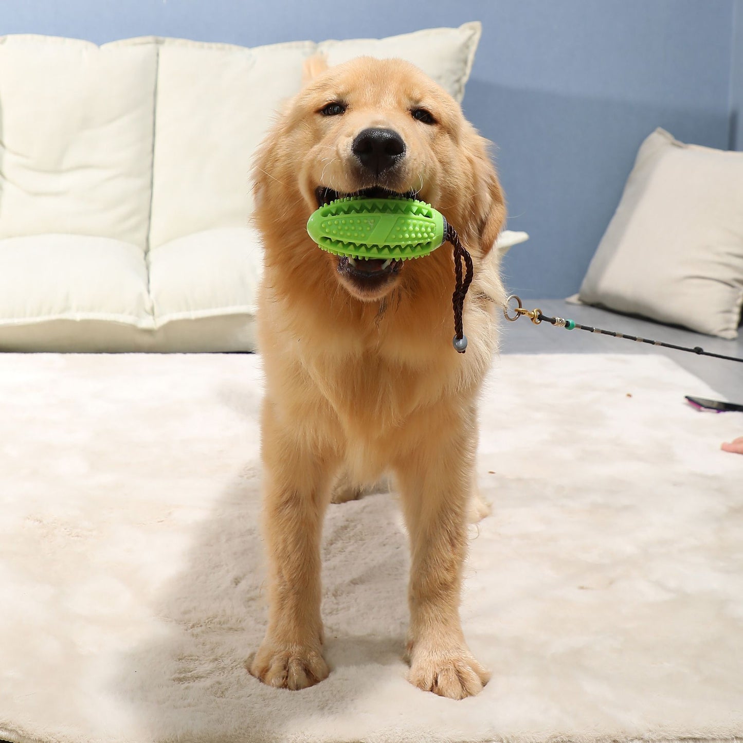 LongLastingDogToy
