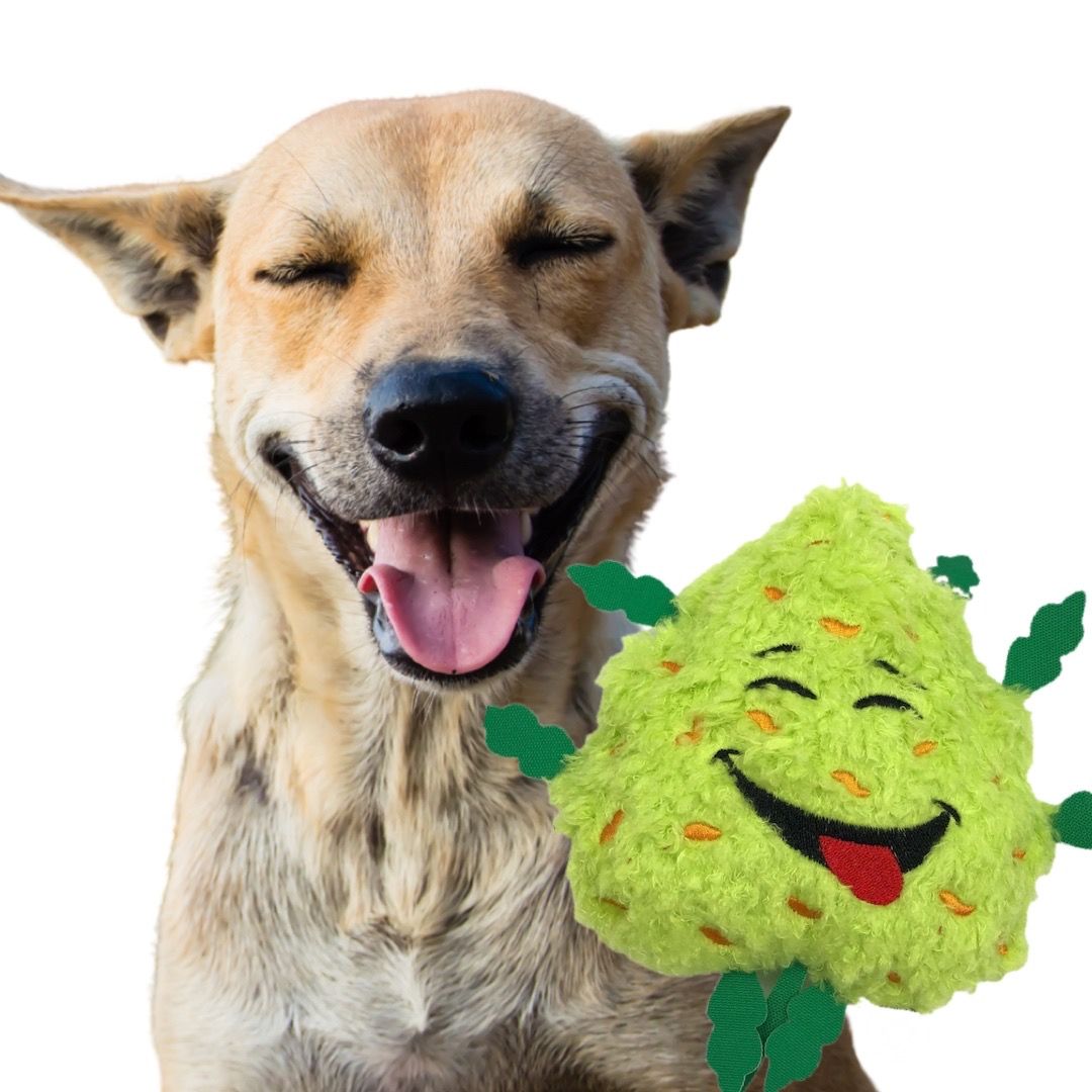 UniqueDogToy