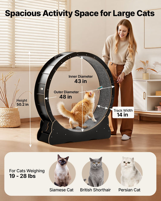 Cat Exercise Wheel, 48 In Wooden Cat Running Wheel For Indoor Cats Up To 28 Lbs, Cats Treadmill With Carpeted Runway, Quiet Kitten Sport Toys For Pets Fitness & Health, Black