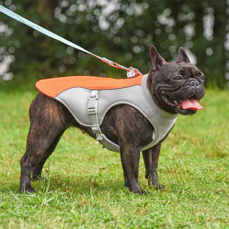 Summer Pet Outdoor Breathable
