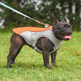 Summer Pet Outdoor Breathable