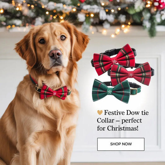 Dress Up Your Dog: Stylish Solid-Color Decorative Tie