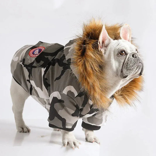 Keep Your Dog Warm and Stylish This Winter with the Duck Camo Jacket