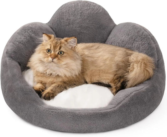 Blooming Comfort: The Fluffy Flower Bed Every Cat & Small Dog Will Love