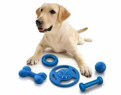 PET SUPPLIES