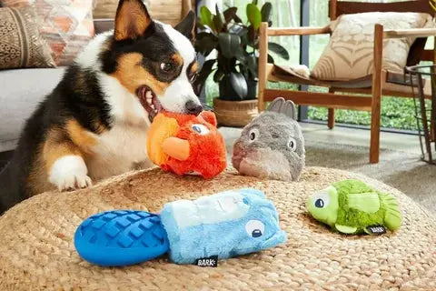 PET TOYS