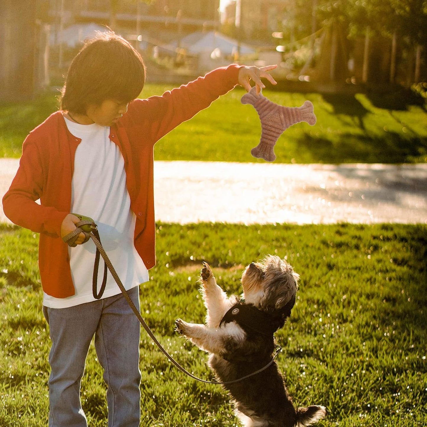 Pet Teething Stick