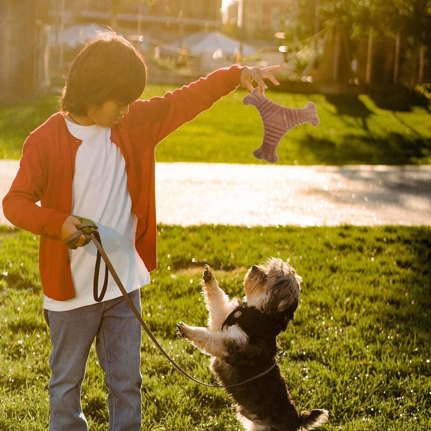 Pet Teething Stick