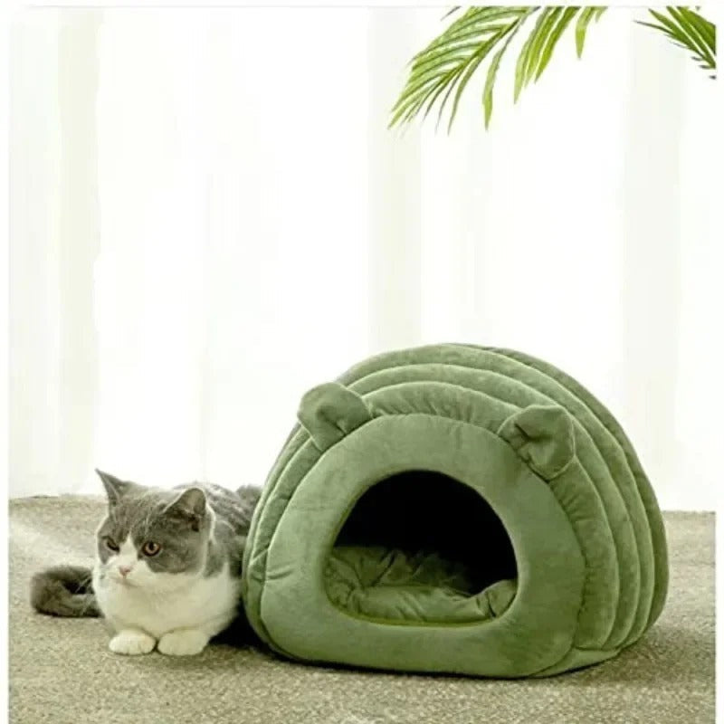 Cats Pet Products