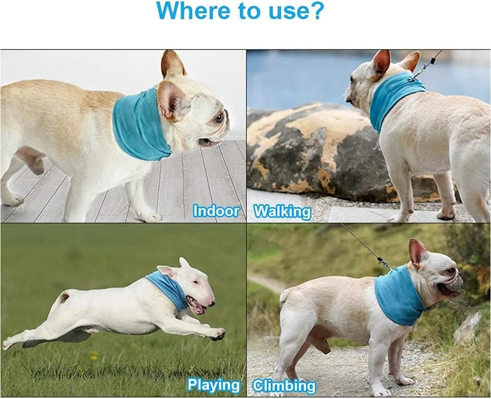 Dog Cooling Bandana