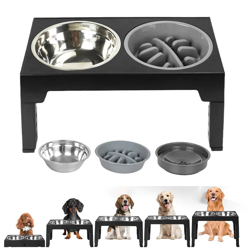 Elevated Dog Feeder