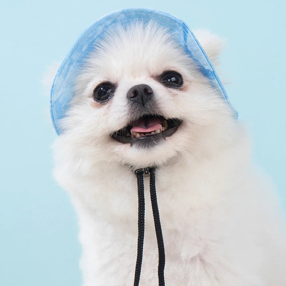 Fashion Dog Hat