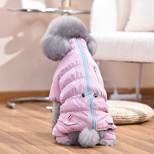 Dog Fashion Outdoor