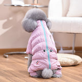 Dog Fashion Outdoor