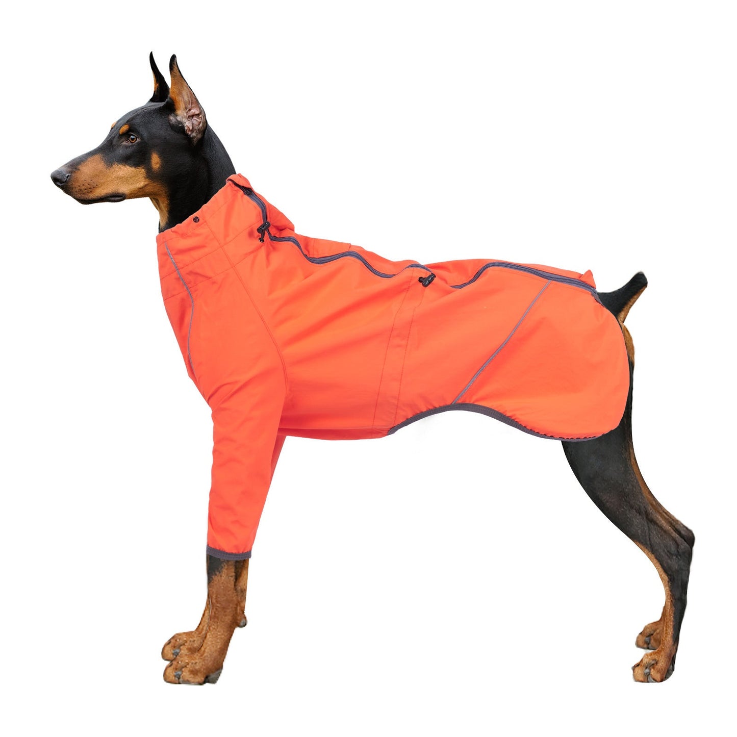 Dog Clothing With Traction Hole