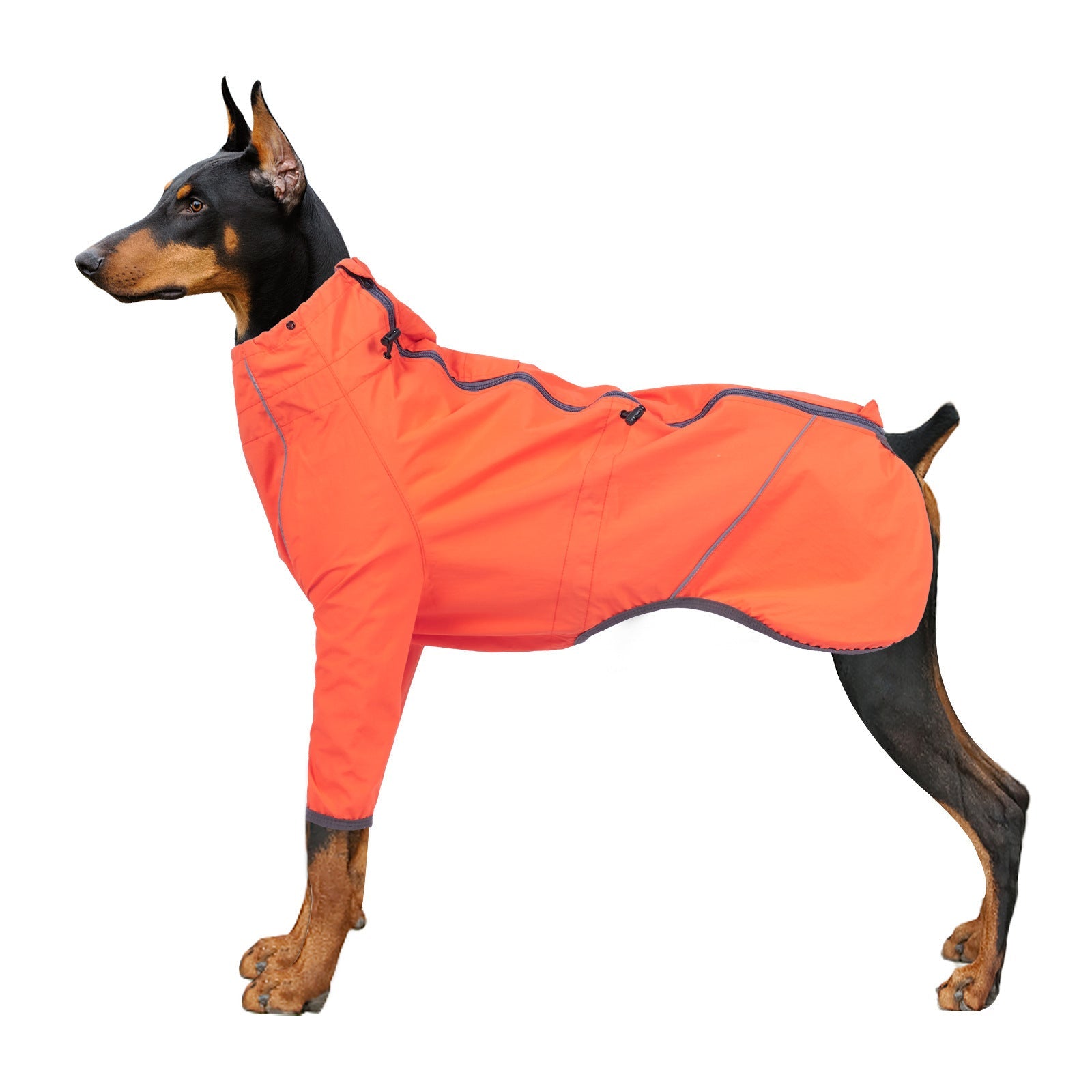 Dog Clothing With Traction Hole