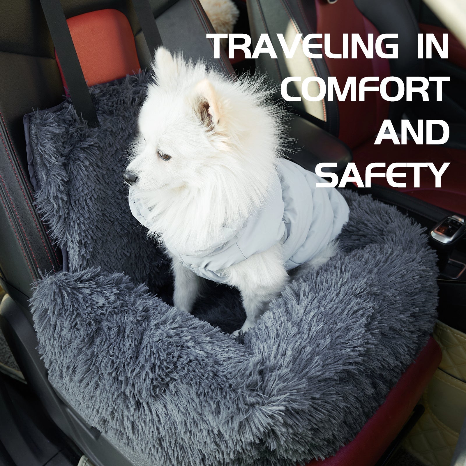 dog travel safety