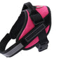 Adjustable Pet Harness For Dog Vest ID Custom Patch Outdoor Walking Dog Supplies