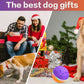 Interactive Dog Toys Ball, Automatic Rolling Toy, Lively Pet Ball For Medium ,Large Dogs To Relieve Boredom, Activated Automatic Motion Dog Balls Toy With LED Flash, USB Rechargeable Orange Purple