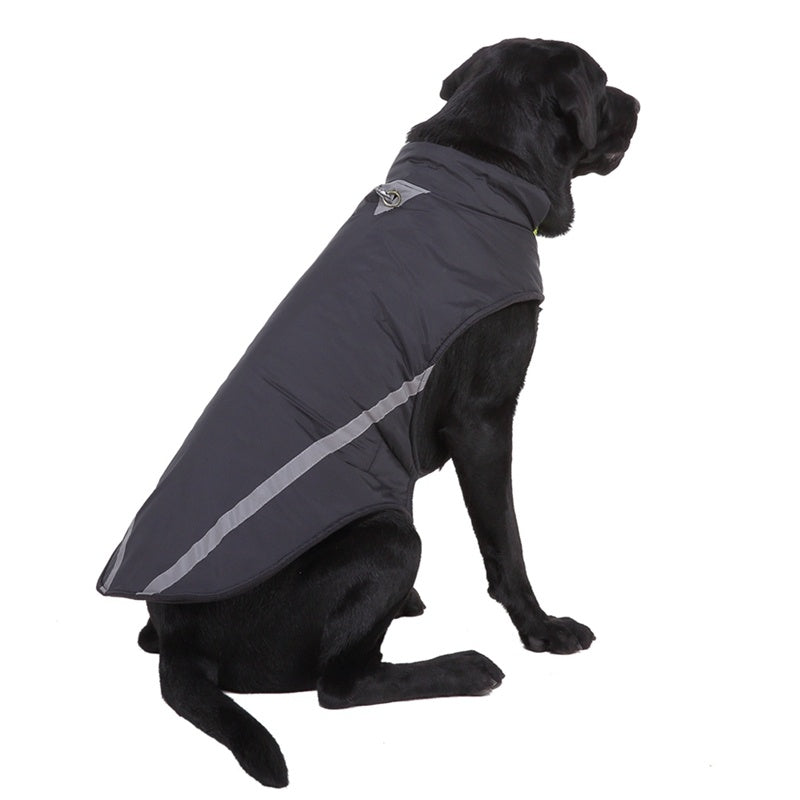 Jackets large dog