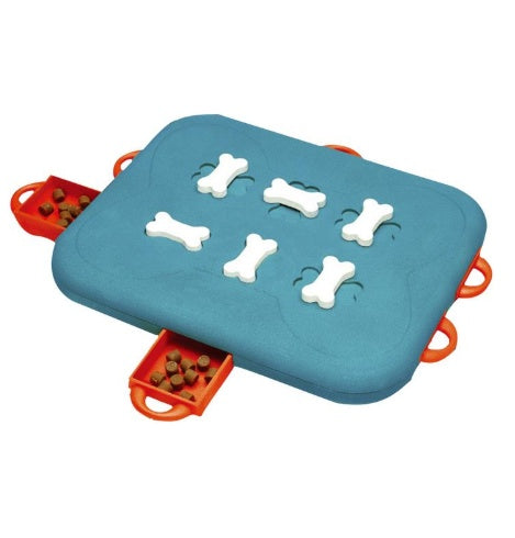 Pet Casino Treasure Hunt