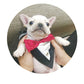 Dog Triangle Bandana