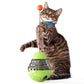 Pet food leaking ball