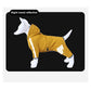 Sily Pet Raincoat