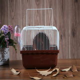 Hamster Golden Bear Supplies With Cage