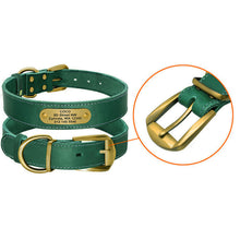 Personalized Dog Collars