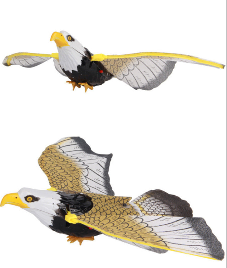 Simulation Bird Cat