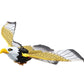 Simulation Bird Cat
