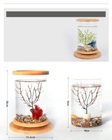 | Bamboo Fish Bowl | Bamboo Aquarium | Bamboo Base Bowl | Mini Bamboo Tank |
Bamboo Bowl Aquarium | Fish Bowl with Bamboo |