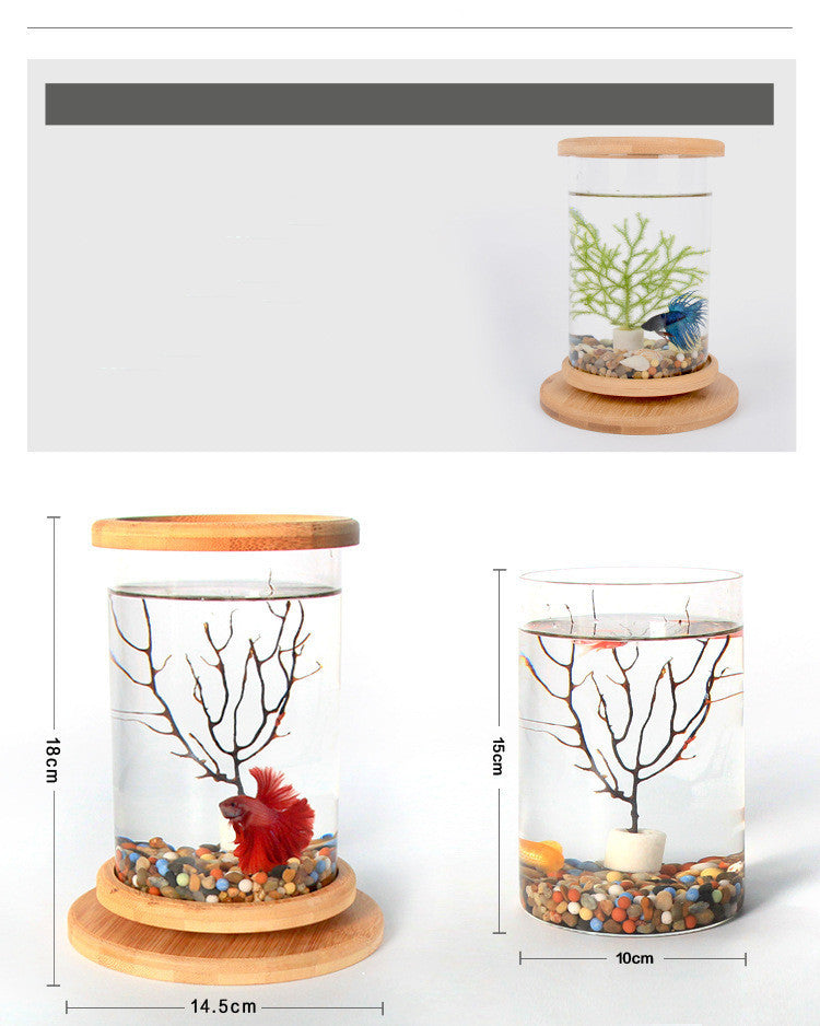 | Bamboo Fish Bowl | Bamboo Aquarium | Bamboo Base Bowl | Mini Bamboo Tank |
Bamboo Bowl Aquarium | Fish Bowl with Bamboo |