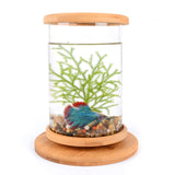 | Bamboo Fish Bowl | Bamboo Aquarium | Bamboo Base Bowl | Mini Bamboo Tank |
Bamboo Bowl Aquarium | Fish Bowl with Bamboo |