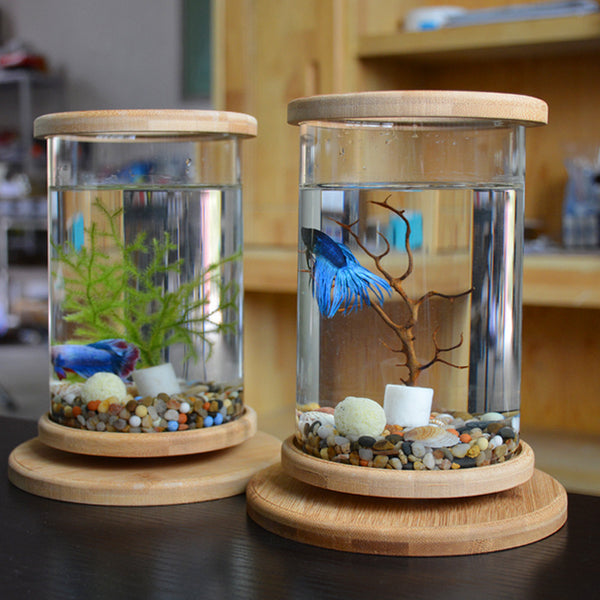 | Bamboo Fish Bowl | Bamboo Aquarium | Bamboo Base Bowl | Mini Bamboo Tank |
Bamboo Bowl Aquarium | Fish Bowl with Bamboo |