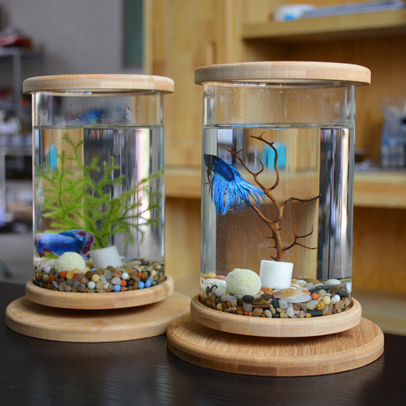 | Bamboo Fish Bowl | Bamboo Aquarium | Bamboo Base Bowl | Mini Bamboo Tank |
Bamboo Bowl Aquarium | Fish Bowl with Bamboo |